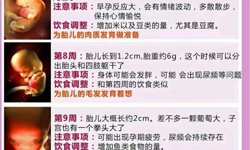 试管婴儿移植后多久能测出怀孕专区_试管婴儿移植多久可以确定怀孕专区_试管婴儿移植三次失败原因网