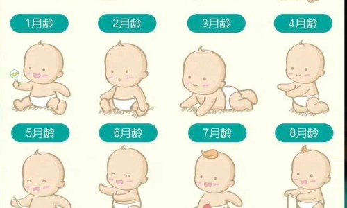 试管婴儿移植多久可以确定怀孕-试管婴儿移植后多久能测出怀孕专区_试管婴儿移植多久可以确定怀孕专区_试管婴儿移植三次失败原因网